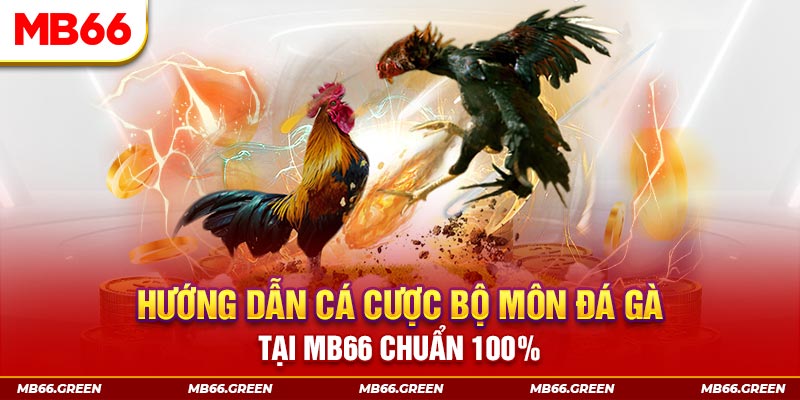 79king1 kết quả xổ số miền bắc ngày hôm nay