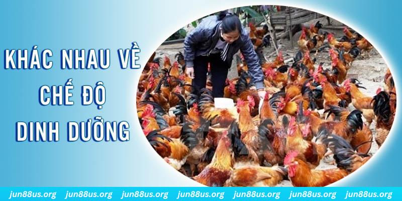 đăng nhập roulette hôm nay
