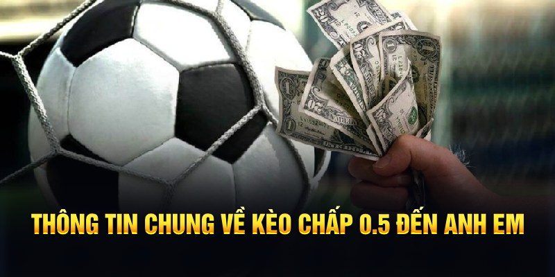 79king1 nổ hũ b29 là gì