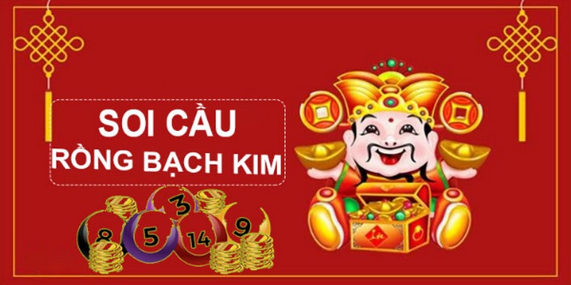 79king1 gà chọi