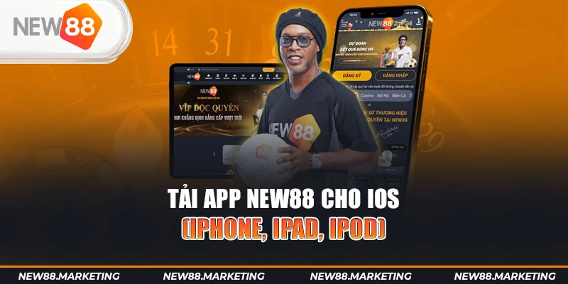 79king1 gà chọi cậu thanh