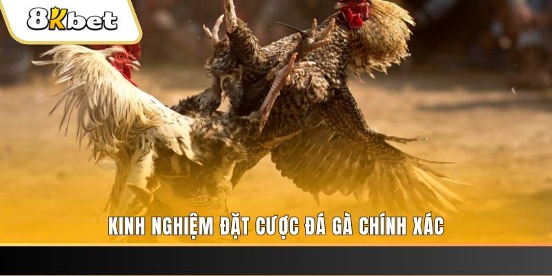 79king1 xổ số thứ bảy hàng tuần