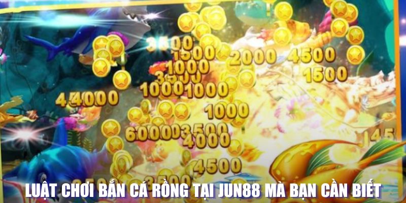 79king1 xổ số đài hà nội
