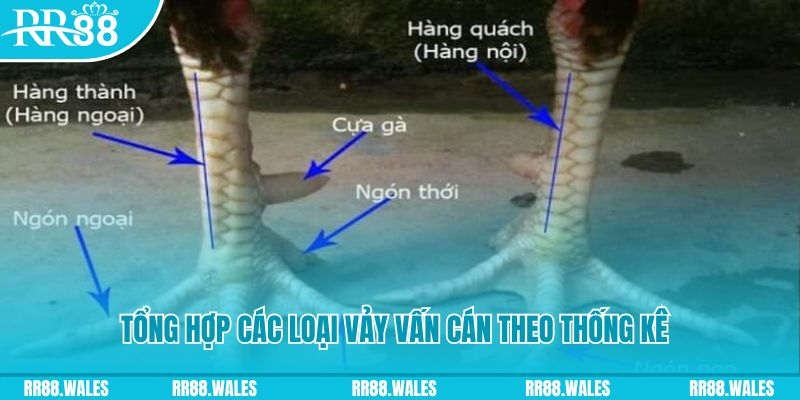 79king1 HB Điện Tử