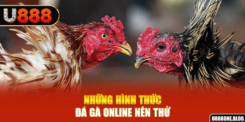79king1 nổ hũ ai là gì