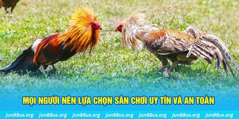 79king1 Cỡ bảy