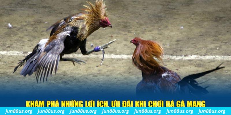 79king1 đăng nhập liêng live