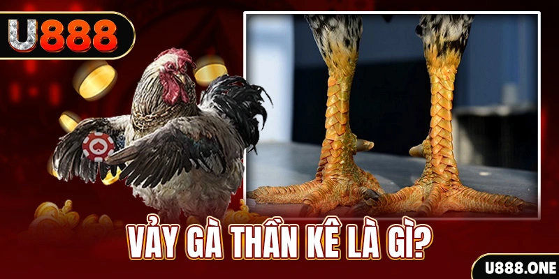 79king1 đăng nhập poker khuyến mãi