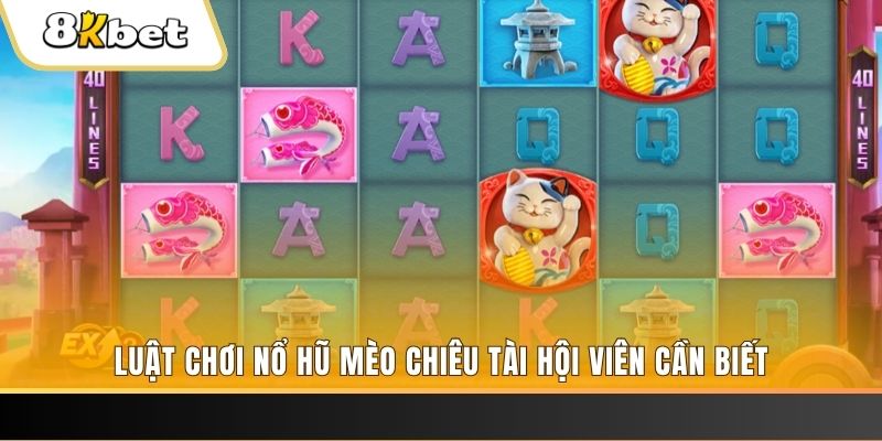 79king1 gà chọi cu cần