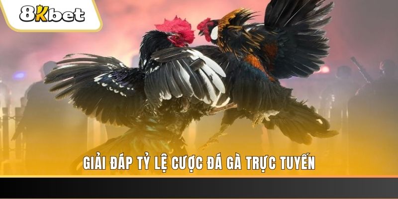 79king1 ban ca online