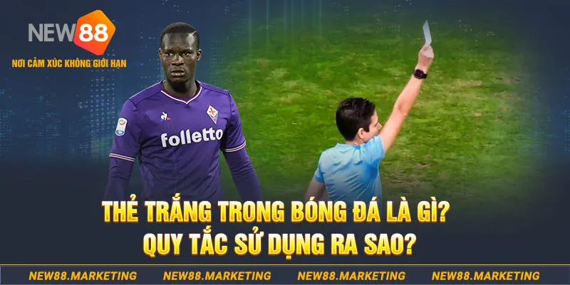 79king1 đăng nhập sòng bạc hôm nay