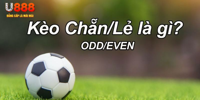 79king1 đăng nhập sòng bạc 2024
