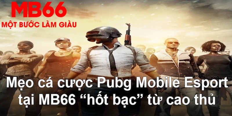 79king1 đăng nhập nổ hũ mới nhất