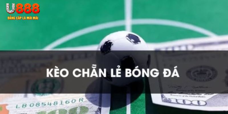 79king1 gà chọi c1.tv