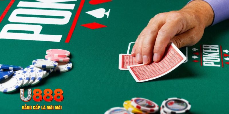 79king1 đá gà 88