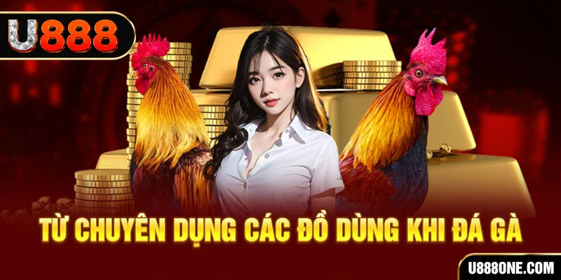 79king1 đá gà trực tiếp campuchia
